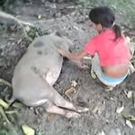 Rodolfo Vasquez - @rodolfo.vasquez.507679 - Instagram
