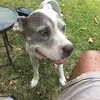 Rodrick Grant - @rodrick.grant6 - TikTok
