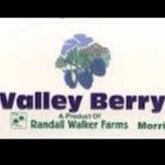 Rodrick Valley-Berry - @rodrickvb - Instagram