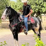 Rodrigo Angulo - @rodrigo.angulo.1614 - Instagram