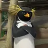 Rodrigo Angulo - @boolinrj - TikTok