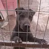 rodrigo barra - @rodrigofreefire407 - TikTok