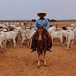 Rodrigo Barra Sena - @rodrigobarrasena - Instagram