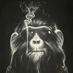 Rodrigo Concha - Facebook
