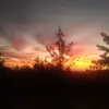 Rodrigo Concha - @rodrigo.concha11 - TikTok