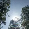 Rodrigo 8.0 - @rodrigo.oregn - TikTok