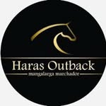 Rodrigo Simões - @harasoutback - Instagram