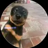 Rodrigo Vilchez - @rodrigo.vilchez15 - TikTok