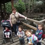 Nelly Rodriguez-brown DE Casalino - @rodriguezbrowndecasalino - Instagram