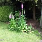 Roel Smit - @rst765 - Instagram