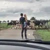 roelsmit27 - @roelsmit27 - TikTok
