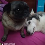 Rogelio Alejandre - @zeroalejandre - Instagram