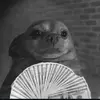 rogelio_benitez - @rogelio_benitez - TikTok