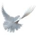 Rogelio Cabrera - Facebook
