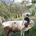 Rogelio Cortes - Facebook
