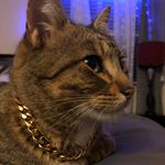 Rogelio Escobar - @_rogelioescobar - Instagram
