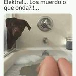 rogelio escobedo - @rogelioescobedo8 - Instagram
