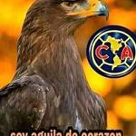 Rogelio Escobedo - @rogelio.escobedo.77964 - Instagram
