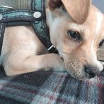Rogelio Escobedo - @rogelio.escobedo.37201 - Instagram