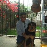 Rogelio Gil - @rogeliogil2303 - Instagram