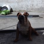 Rogelio Lemus - @_rogeliolemus - Instagram