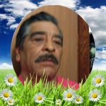 Rogelio Lemus Castro - @rogeliolemuscastro - Instagram
