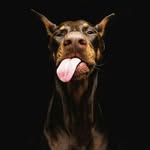 Rogelio Llamas - @rogelio.llamas.7370 - Instagram
