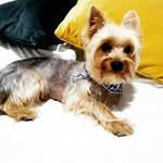 Rogelio Macias - @rogelio.macias.37 - Instagram