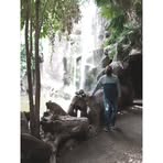 Rogelio Marcelino - Facebook