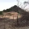 rogeliomedrano53 - @rogelio.medrano20 - TikTok