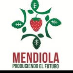 Rogelio Mendiola - @rojomendiola1287 - Instagram