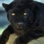 Rogelio Mendiola - @rogelio.mendiola.3 - Instagram