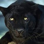 rogelio mendiola fernandez - @rogeliomendiolafernandez - Instagram