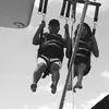 Rogelio Mendiola Silva - @rglmndl - TikTok