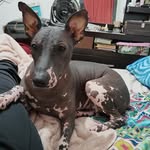 Rogelio Peréz Mendiola - @roger081103 - Instagram