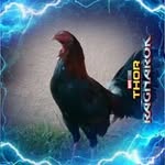 Rogelio Nava - @rogelio.nava.969300 - Instagram