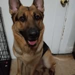 Rogelio Nava - @rogelionava53 - Instagram