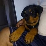 Rogelio Dominguez Nolasco - @rogeliodomingueznolasco - Instagram