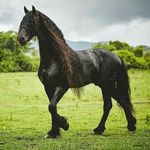 Rogelio Parra Covarrubias - @rogelioparracovarrubias - Instagram