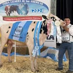 Rogelio Peralta - @rogelio_peralta07 - Instagram