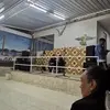 Rogelio Quiñones - @rogelio.quiones02 - TikTok