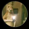Rogelio Quiñones🤡 - @rogelio.quiones01 - TikTok