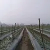 Rogelio Rayas Zarago - @rogeliorayaszaragoza - TikTok