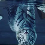 rogelio razo - @rogelio_razo - Instagram
