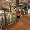Rogelio Vallejo - @rogelio.vallejo8 - TikTok