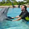 Roger Abboud - @roger.abboud6 - TikTok