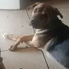 La D - @roger_acosta_ - TikTok