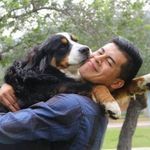 Roger Acosta | Psicólogo y Educador Canino 🐶 - @roger.educadorcanino - Instagram