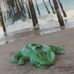 ROGER - @rogerthealigator - Instagram