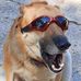 Roger Alston - Facebook